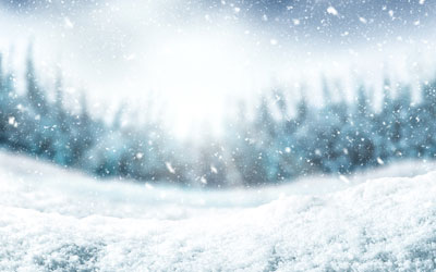 up close image of snow flakes in a meadow