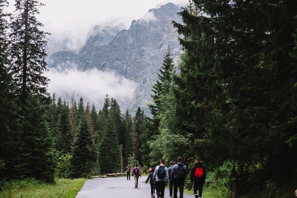 hikers walking down path